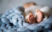 В родилното отделение: Каква е символиката на лилавия стикер на пеперуда