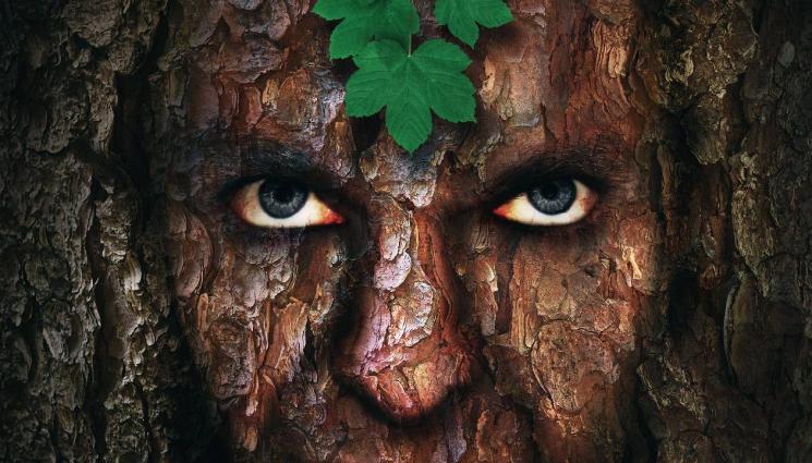 маг зодиак - СМРАЗЯВАЩО: Души на покойници надничат от пънове (СНИМКА)