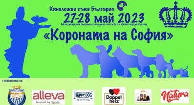 Киноложки съюз България