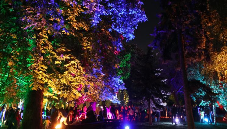 лунар - СОФИЯ СВЕТНА: Започна фестивалът на светлините