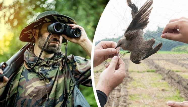 a - НОВО СПЕЦЗВЕНО В ДЕЙСТВИЕ: ГДНП ще се бори срещу престъпленията против околната среда и дивата природа
