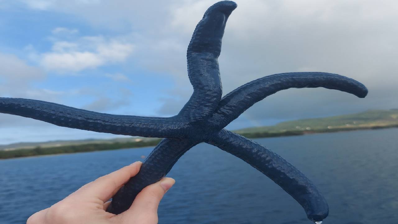 Поли Паскова