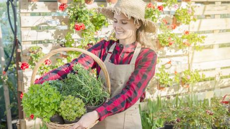 риган билки