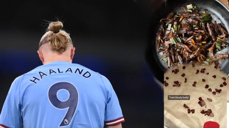 Халанд меню