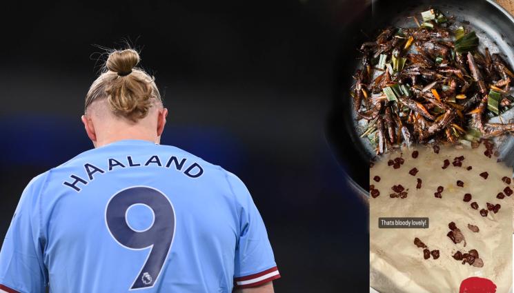 Халанд меню - Гнусно, като изпражнения: Халанд втрещи с менюто си в Инстаграм