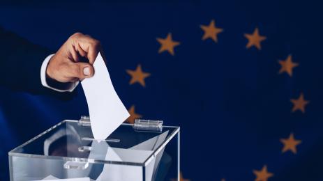 европейски парламент избори