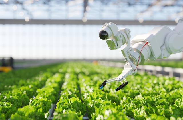 Съществува огромна обществена подкрепа за действията на ЕС за справяне