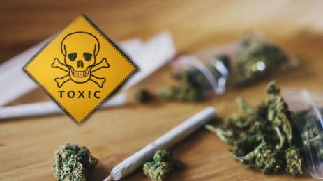 отровна трева