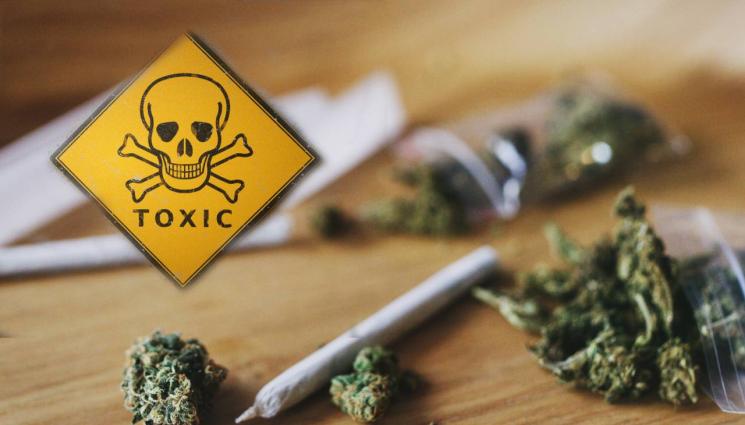 отровна трева - ПРИПЕЧЕЛВА ДОПЪЛНИТЕЛНО: Тикнаха зад решетките пенсионер, продавал трева!