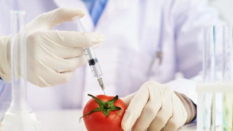 домат ваксина