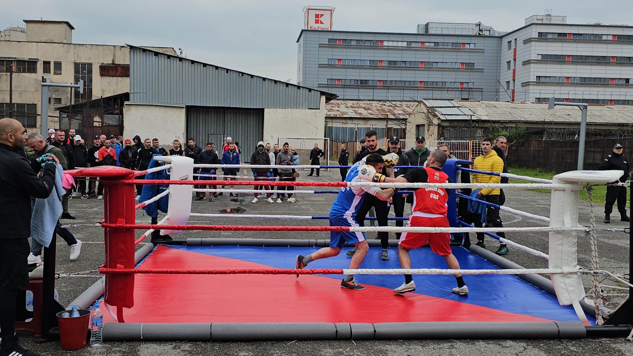 боксов турнир в затвора