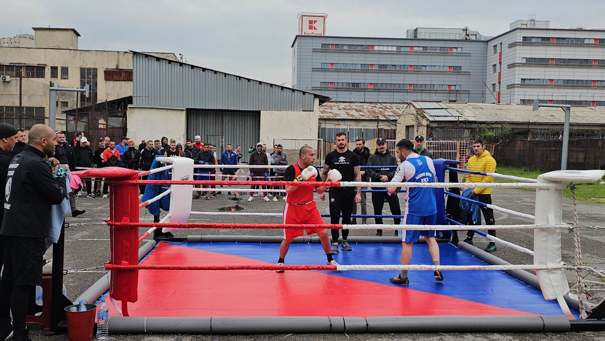 боксов турнир в затвора