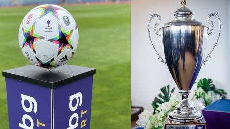 Купа на България финал топка