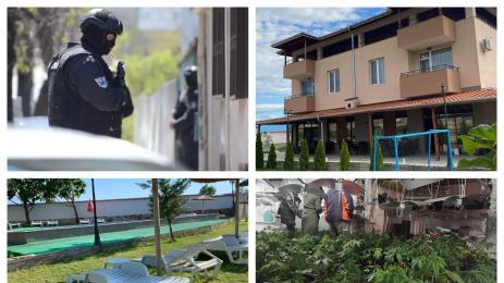 хотелиер канабис