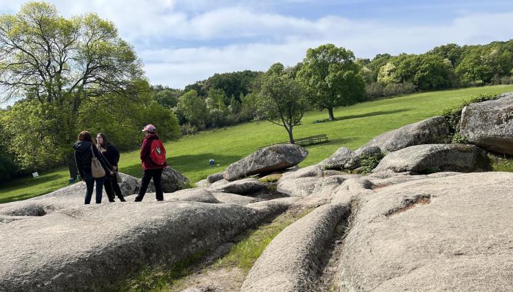 зеленика - На един лъч разстояние от Плеядите