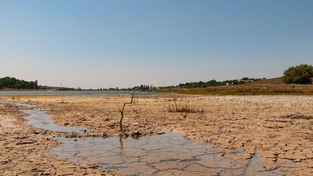 Природата алармира: Повече от половината големи езера по света пресъхват
