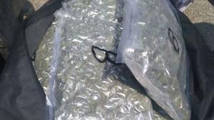 Дунав мост канабис