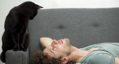 котка и стопанин