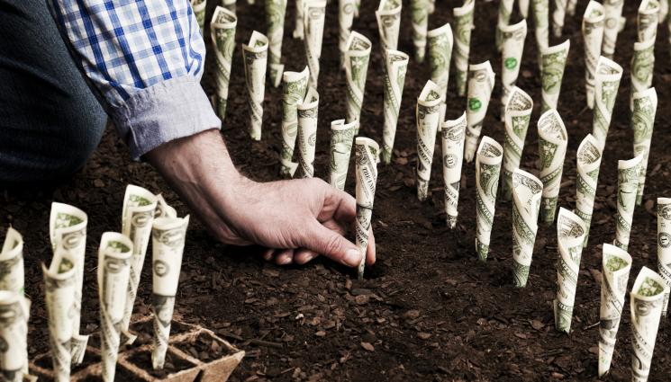 земеделие пари - Агро Телеграф: Зърнопроизводството наду печалбите в земеделието