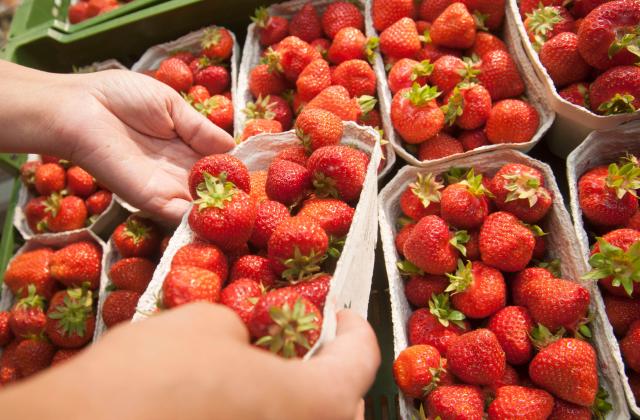 Сезонът на ранните плодове е в разгара си, но цените…