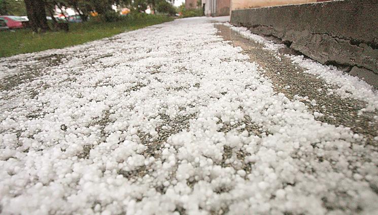 градушка - Агро Телеграф: Пшеницата формира зърното, ечемикът в млечна зрялост