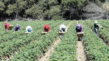 англия работници визи