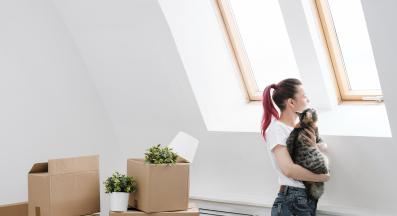 котка в нов дом