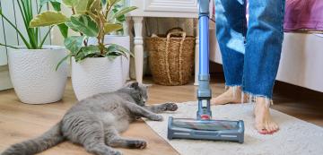 Как да неутрализираме миризмата на котка в дома