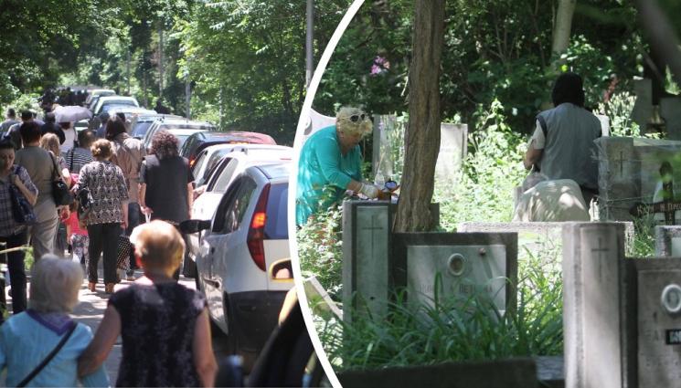 а - Чeрешова задушница е!