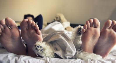 куче човек крака