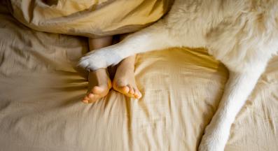 куче човек крака