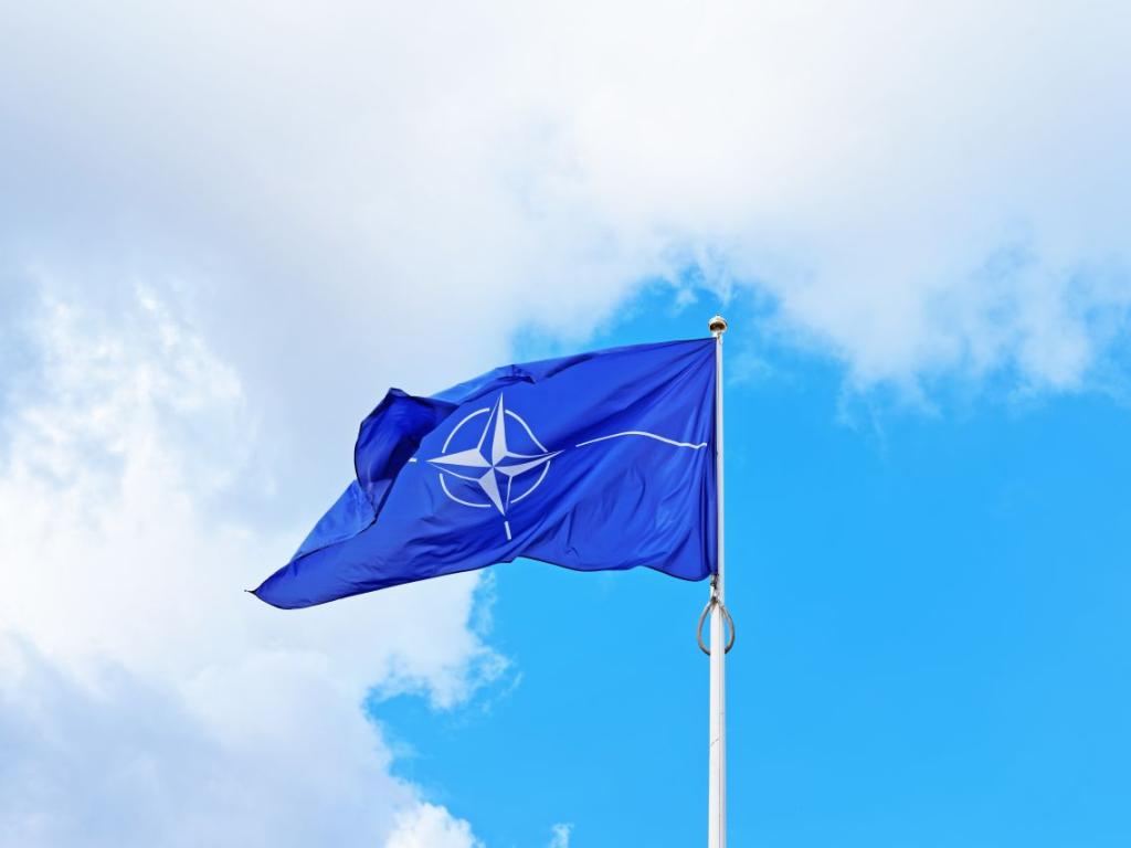 НАТО заяви че не разполага с никаква информация която да
