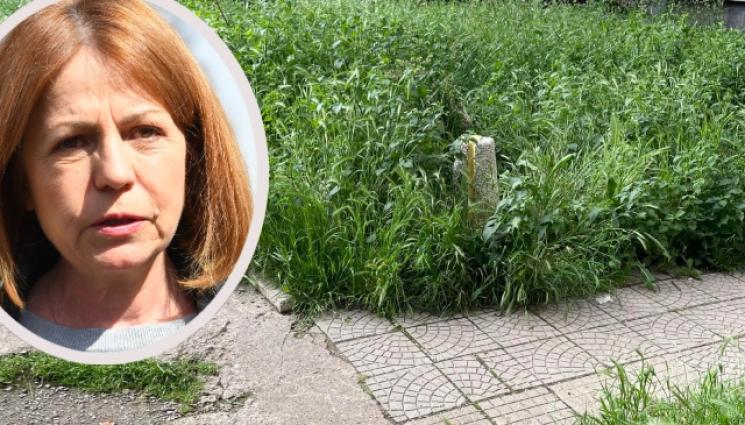 фандъкова - ЗАРАДИ ЛАВИНА ОТ СИГНАЛИ: Фандъкова бори високите треви в столицата