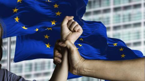 ЕС Европейска конвенция