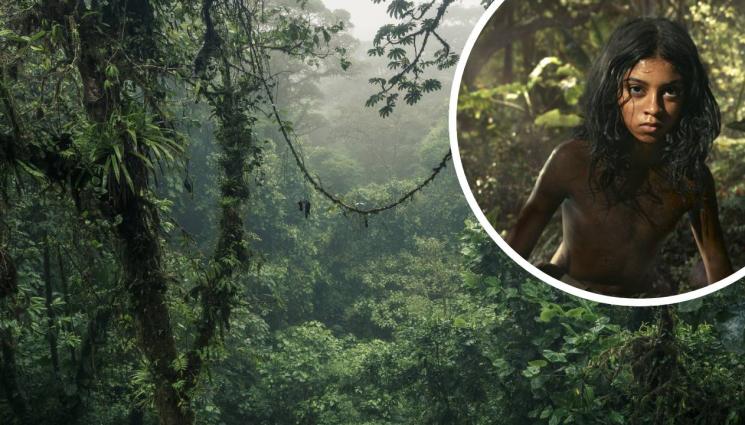 маугли - ИСТИНСКИ МАУГЛИ: Намериха дете отгледано от кучета!