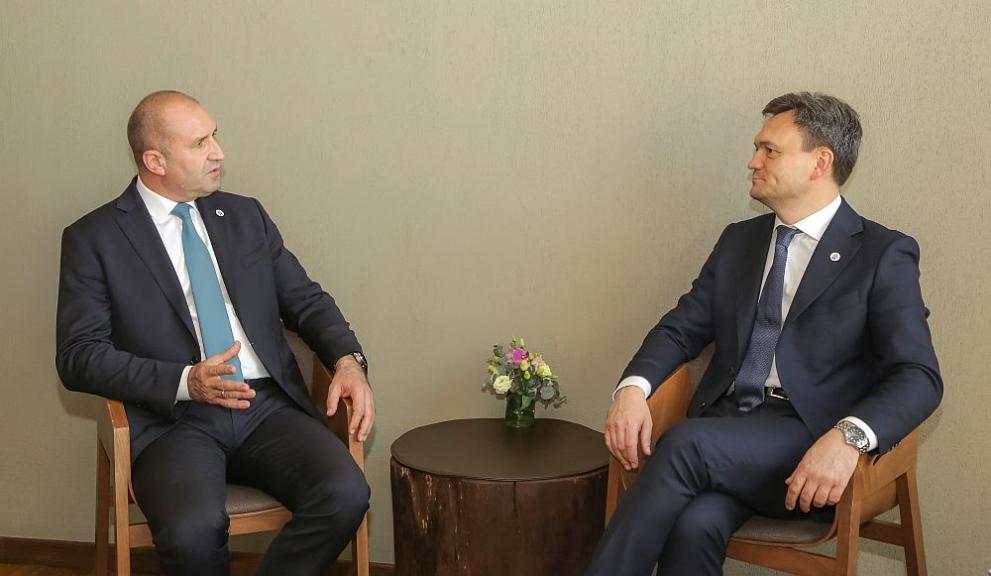 Президентът Румен Радев обсъди с молдовския министър-председател Доран Речан съдействието на България