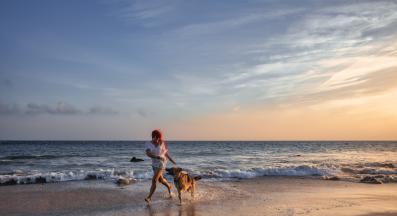 куче човек щастие