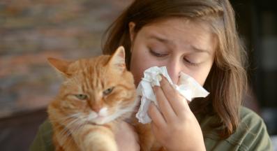 котка и стопанин