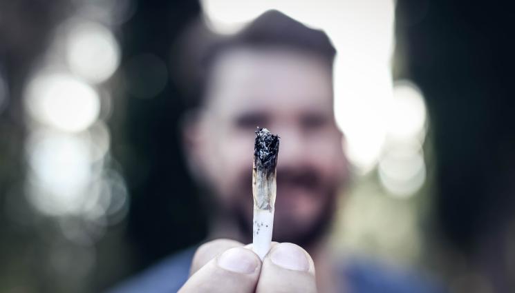 трева - ОТ ДРУГАТА СТРАНА НА ЗАКОНА: Служител на ДАНС пафкал трева в колата си