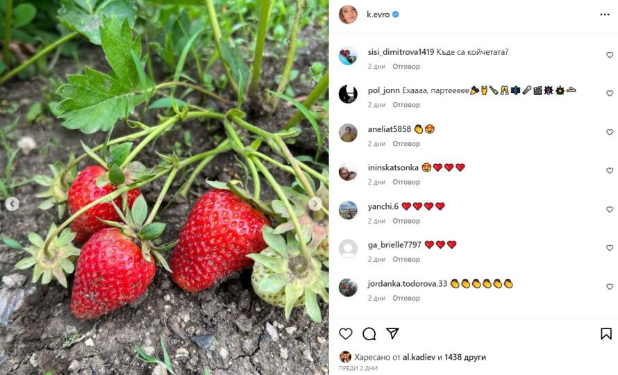 ВИП РЕКОЛТА: Цъфнаха ягодите на Катето Евро - Светски - Телеграф
