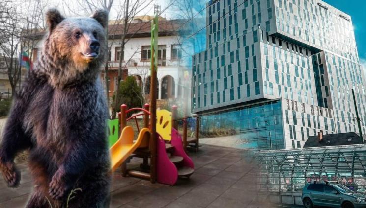 мечка - КАКВО СЕ СЛУЧВА? Мечка души до детска градина, друга отиде на мол и падна от балкона