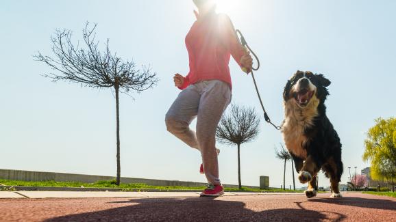 Защо бягането с кучето ви в парка е по-добро от фитнес