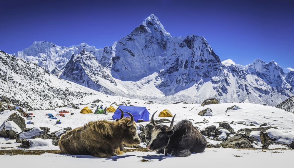 Страната държи няколко рекорда - връх Еверест е най-високият връх в света с височина 8848 м. Има езера като Тиличо - езерото на най-високата надморска височина на височина 4800 м, езерото Шей Фоксундо - най-дълбокото езеро от 145 м на височина 3600 м, най-дълбокото дефиле на Кали Гандаки - 1200 м и най-високата долина на Земята- долината Арун<br>
<br>
 