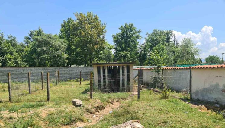 Ванга - Тръгва ремонт заради минералната вода край храма на Ванга