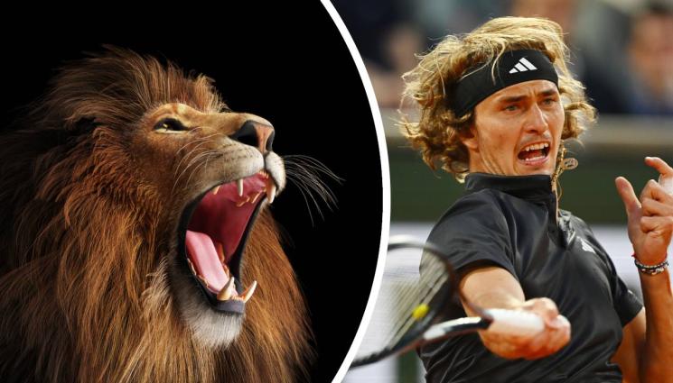 Зверев - ПРОБИВ: Зверев идва на Sofia Open!