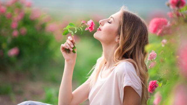 Учим по-добре, ако край нас ухае на рози