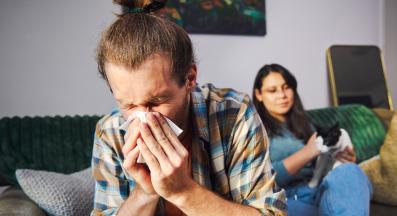 стопанин киха