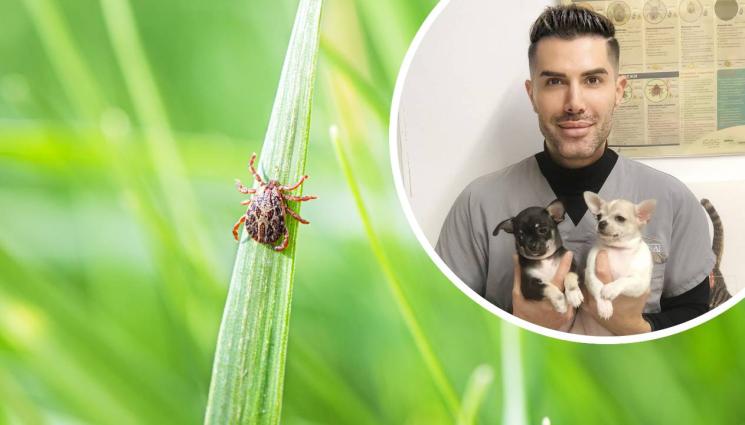 кърлеж - Ветеринарният доктор Евгени Евтимов пред 