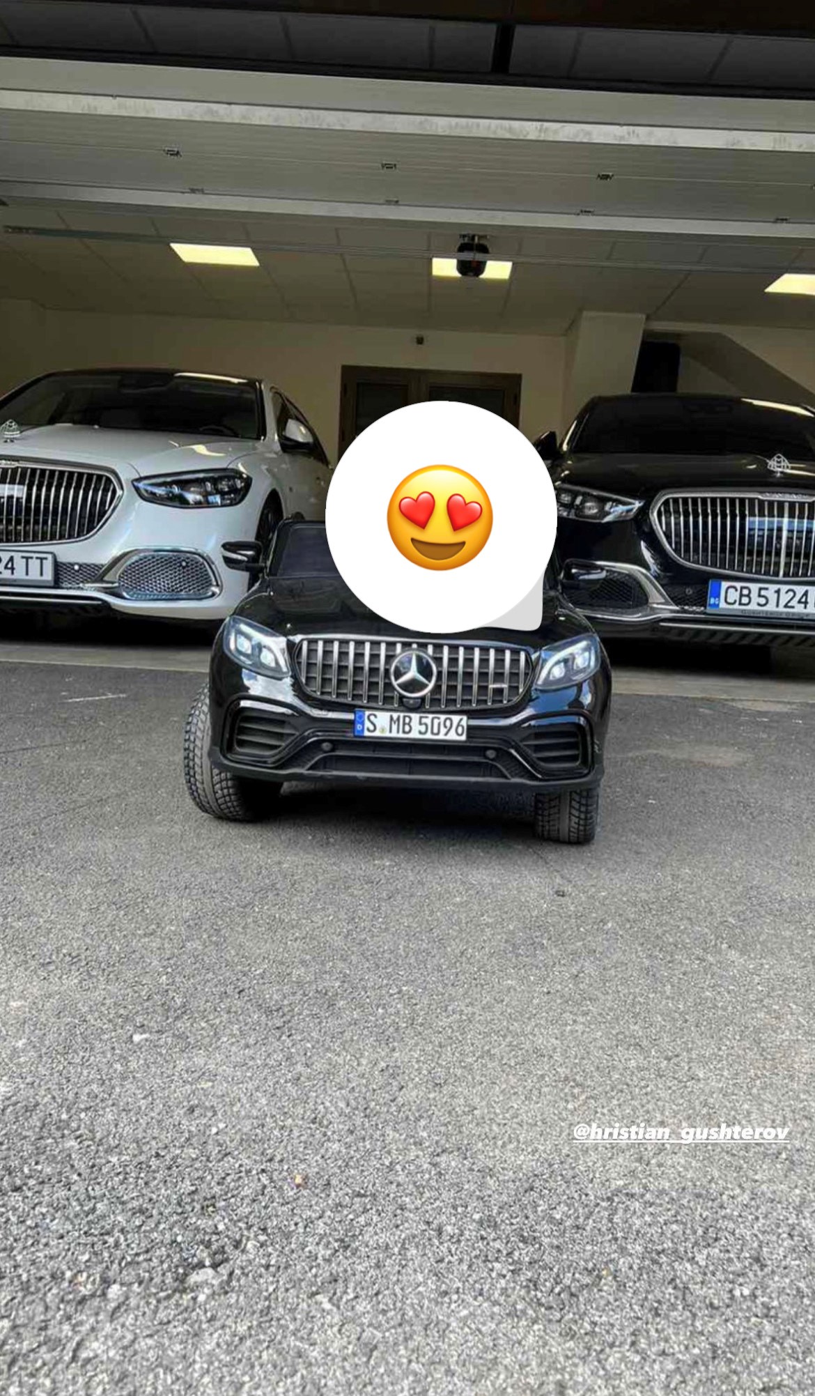 Светлана Гущерова