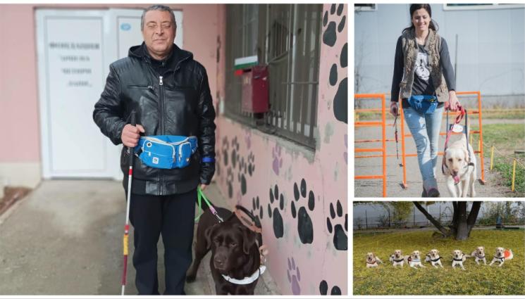 слепи незрящи - 10 000 незрящи - затворници у дома!